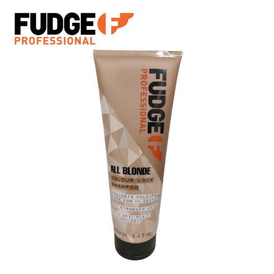 Fudge All Blonde Colour Lock Shampoo - Southwestsix Cosmetics Fudge All Blonde Colour Lock Shampoo Fudge Southwestsix Cosmetics 5031550000313 250ml Fudge All Blonde Colour Lock Shampoo