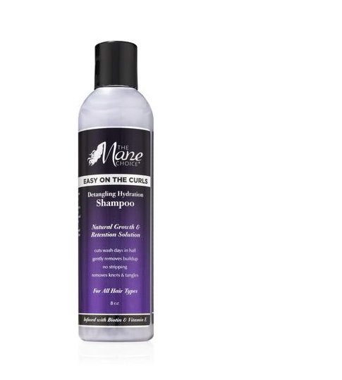 The Mane Choice Easy On The Curls Shampoo - Southwestsix Cosmetics The Mane Choice Easy On The Curls Shampoo Shampoo The Mane Choice Southwestsix Cosmetics The Mane Choice Easy On The Curls Shampoo